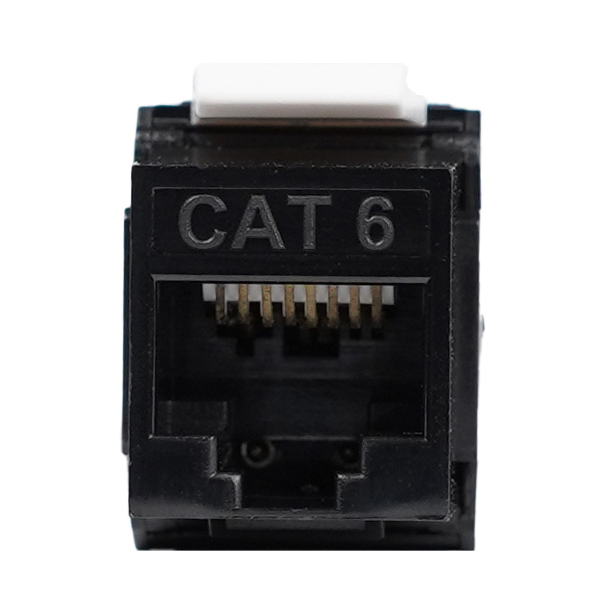PRESA RJ45 CAT.6 UTP 180  TOOLLESS    NE